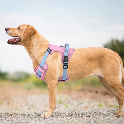 Arnés para perros