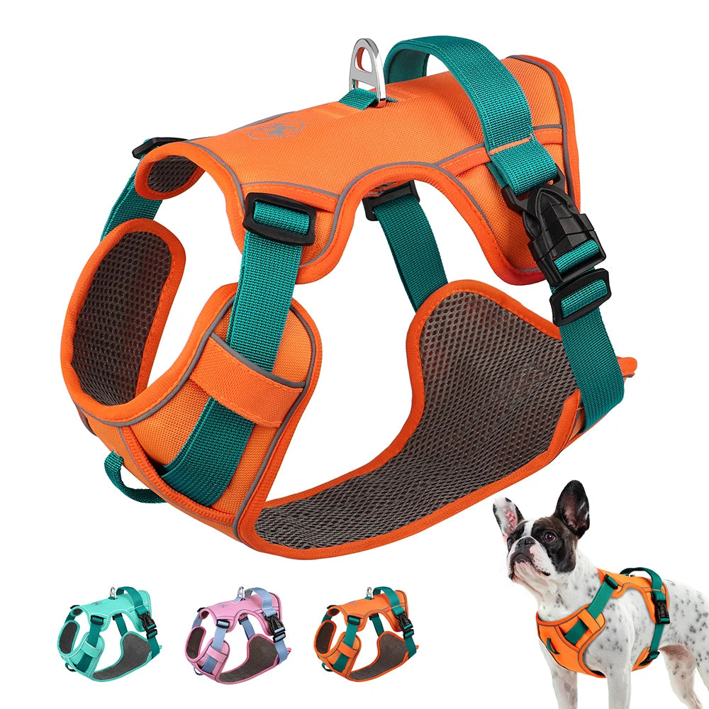 Arnés para perros