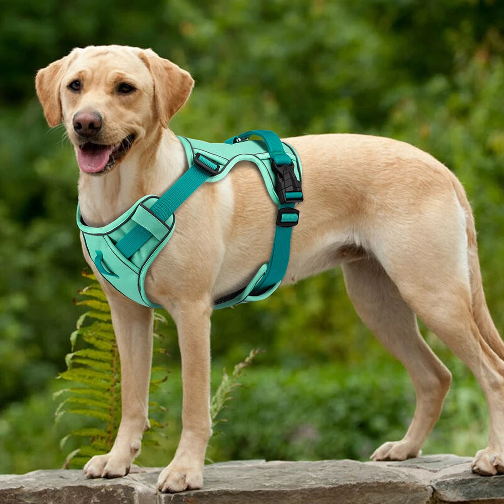 Arnés para perros