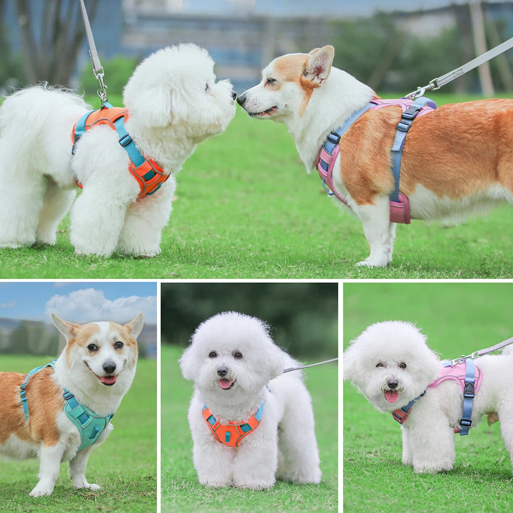 Arnés para perros