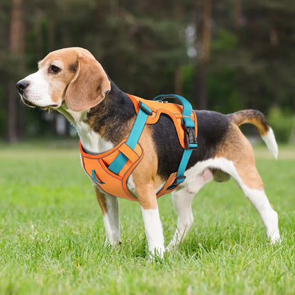Arnés para perros